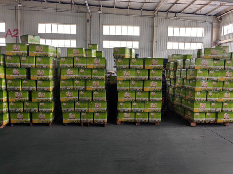 蘇州至梓潼物流公司